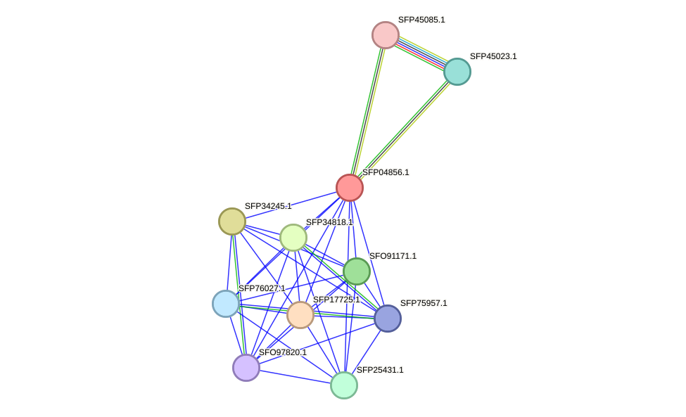 STRING protein interaction network