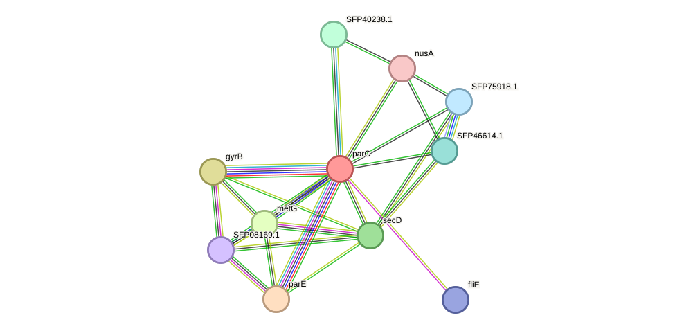 STRING protein interaction network