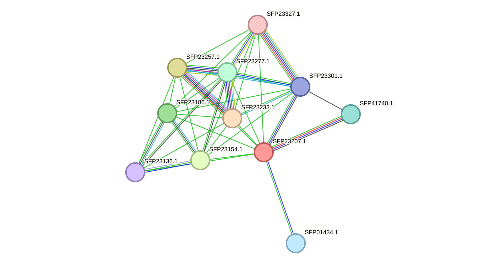 STRING protein interaction network