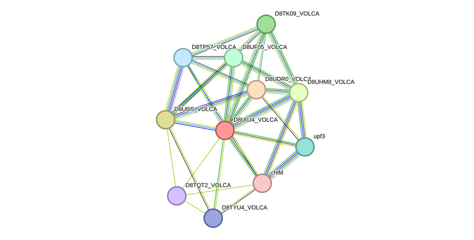 STRING protein interaction network