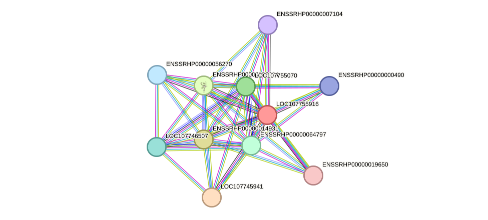 STRING protein interaction network