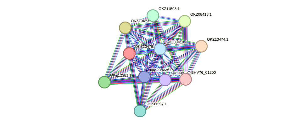 STRING protein interaction network