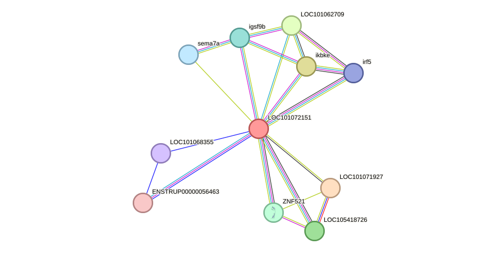 STRING protein interaction network