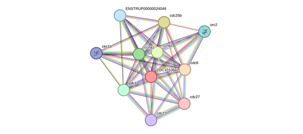 STRING protein interaction network