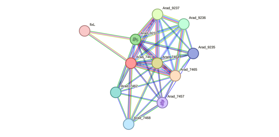 STRING protein interaction network