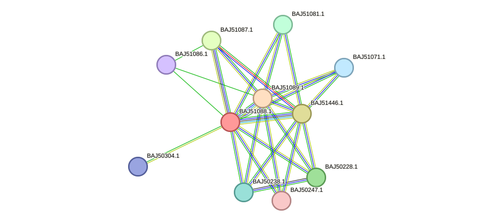 STRING protein interaction network