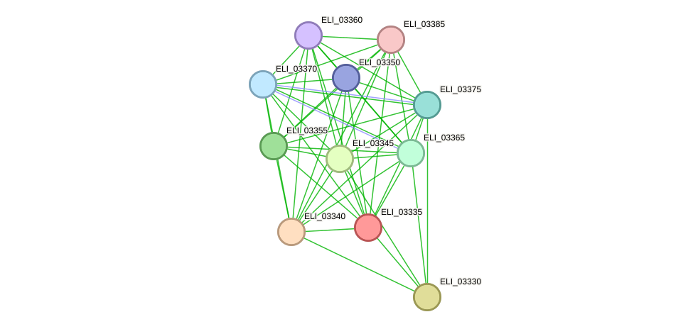 STRING protein interaction network