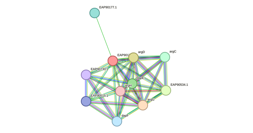 STRING protein interaction network