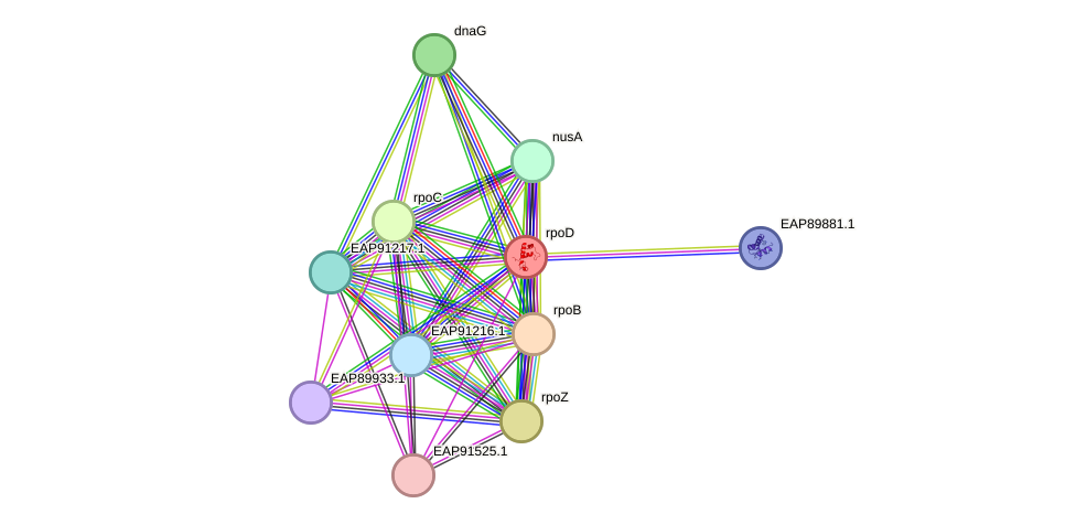 STRING protein interaction network