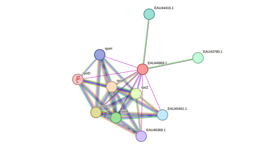 STRING protein interaction network