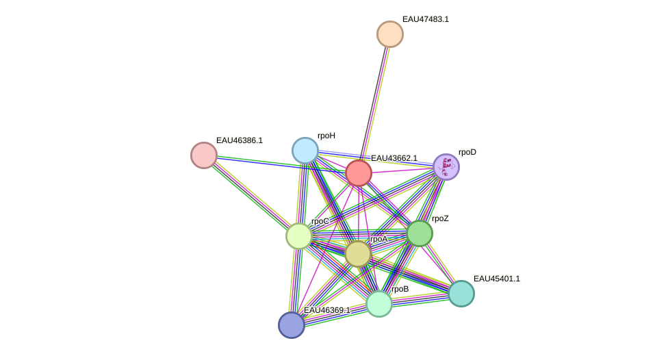 STRING protein interaction network