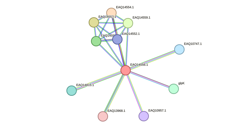STRING protein interaction network