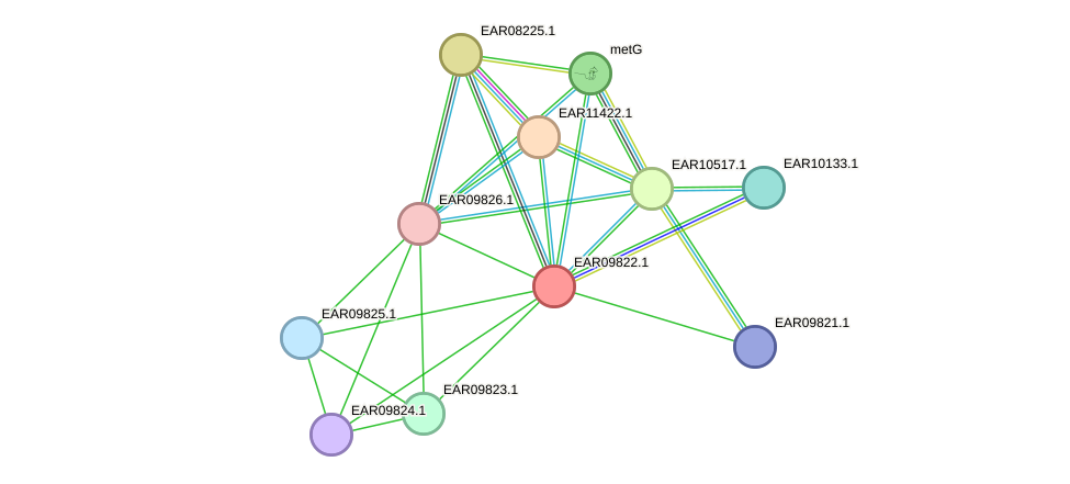 STRING protein interaction network