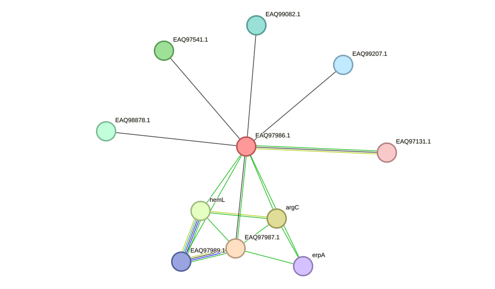 STRING protein interaction network