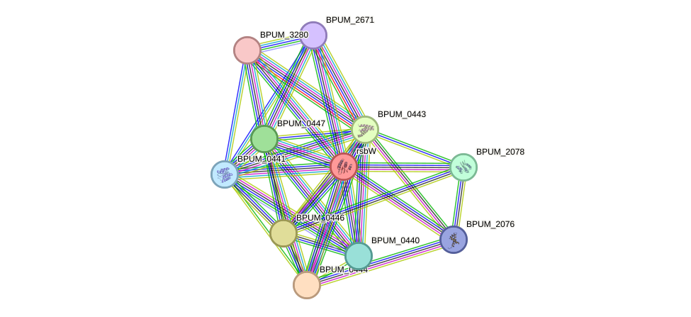 STRING protein interaction network