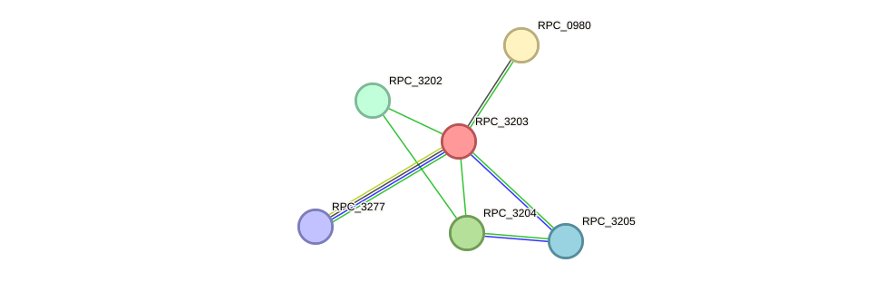 STRING protein interaction network