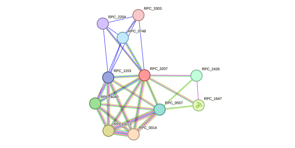 STRING protein interaction network