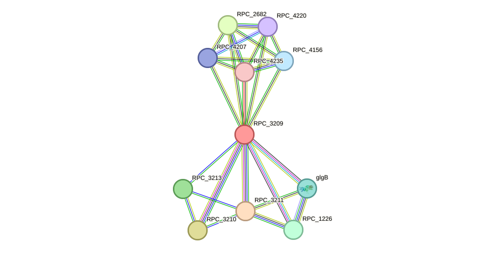 STRING protein interaction network