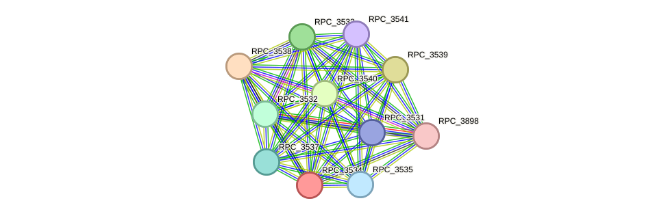 STRING protein interaction network