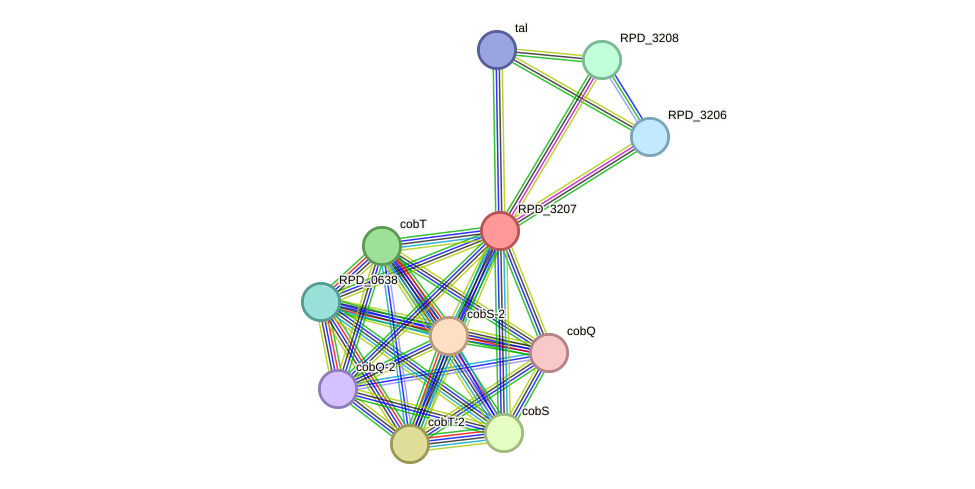 STRING protein interaction network