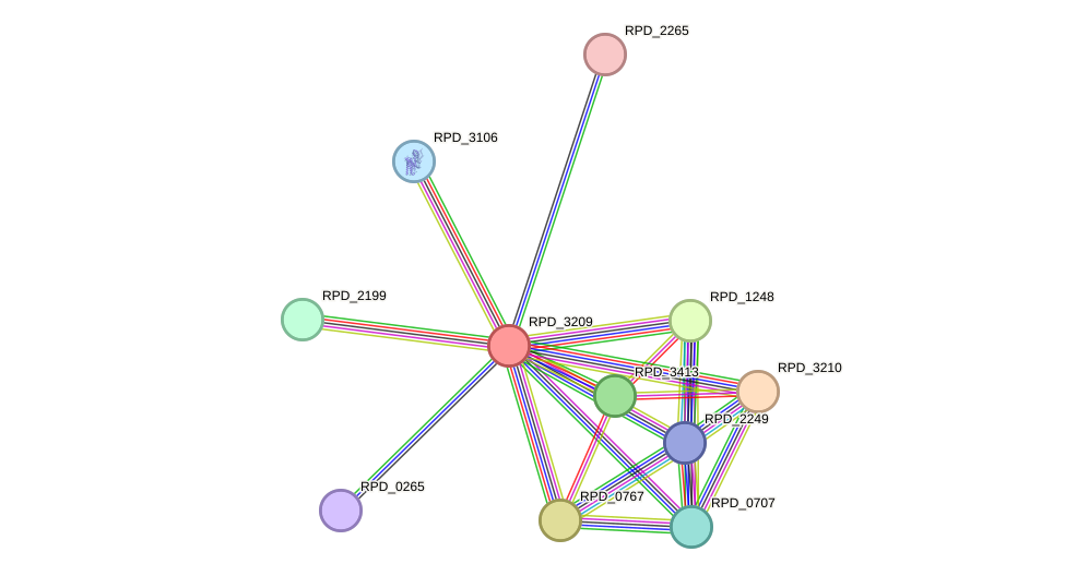 STRING protein interaction network