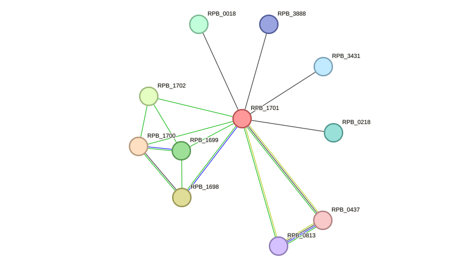 STRING protein interaction network