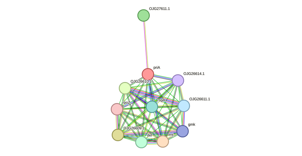 STRING protein interaction network