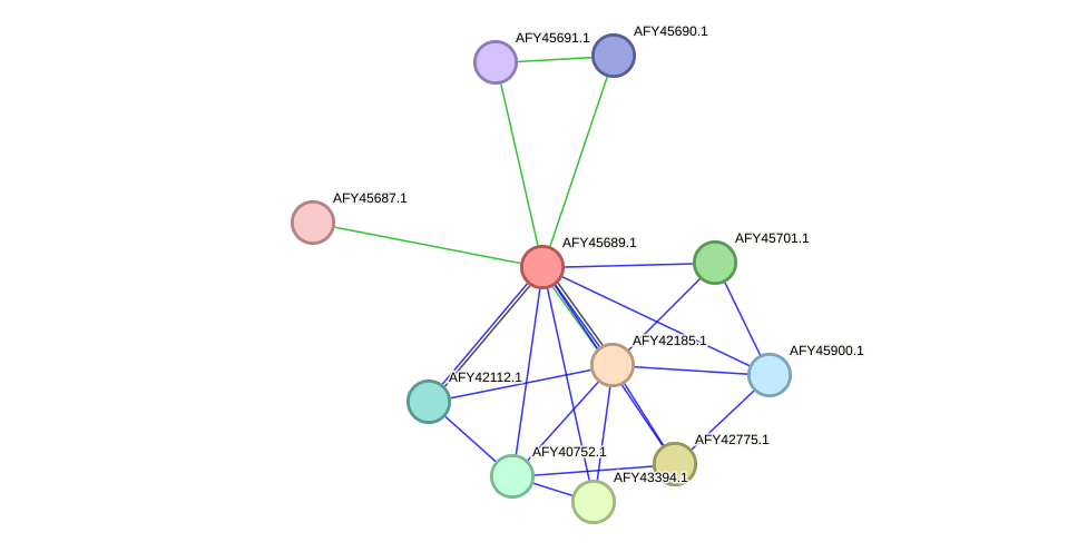 STRING protein interaction network