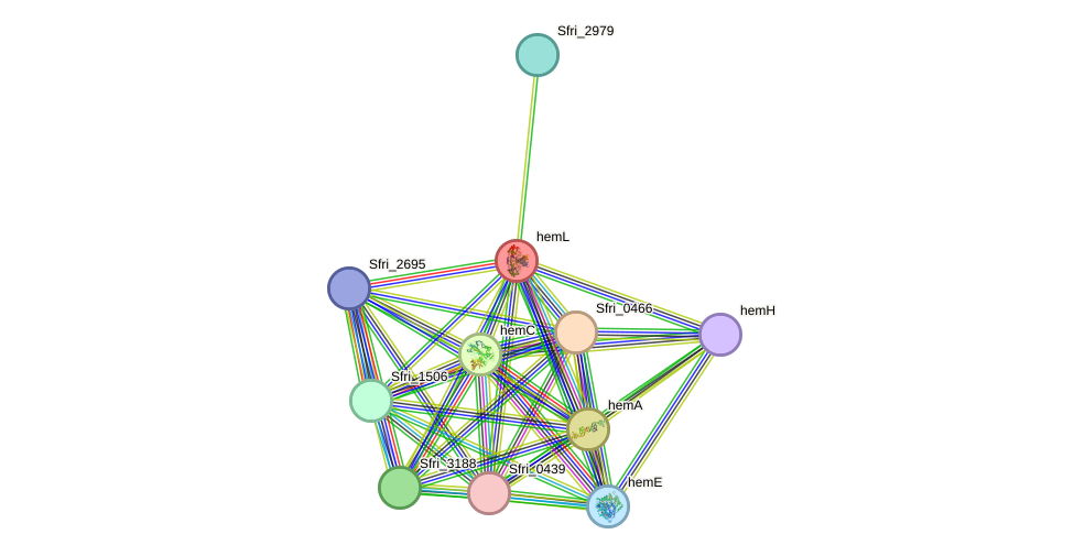 STRING protein interaction network