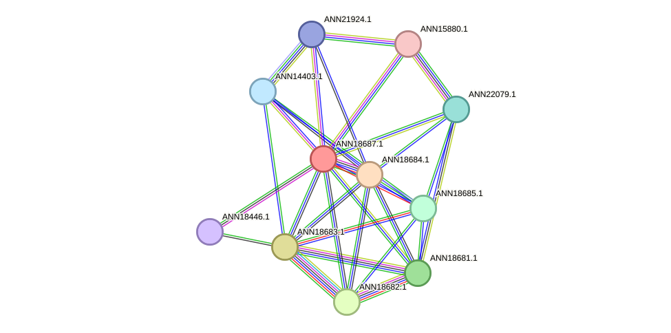 STRING protein interaction network