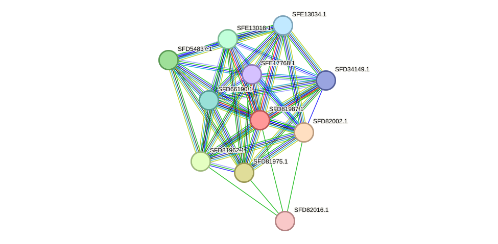 STRING protein interaction network
