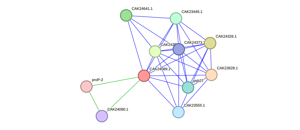 STRING protein interaction network
