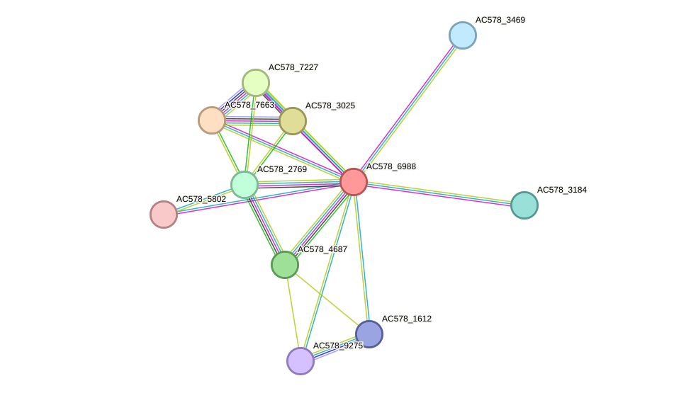 STRING protein interaction network