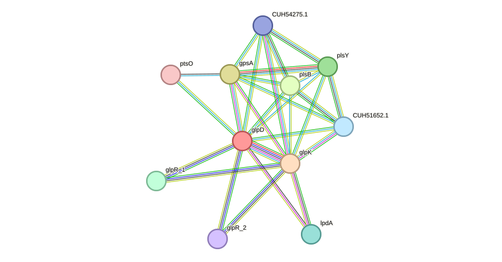 STRING protein interaction network