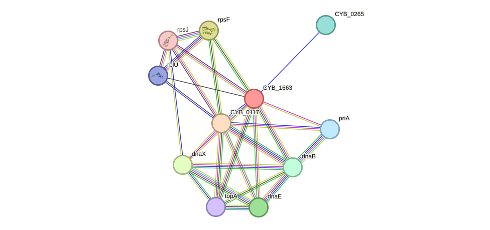 STRING protein interaction network