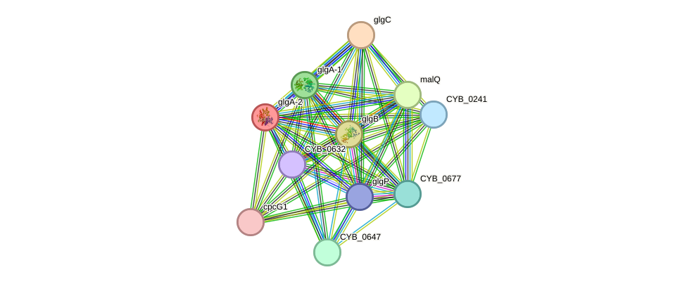 STRING protein interaction network