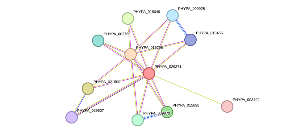 STRING protein interaction network