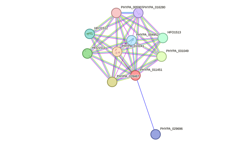 STRING protein interaction network