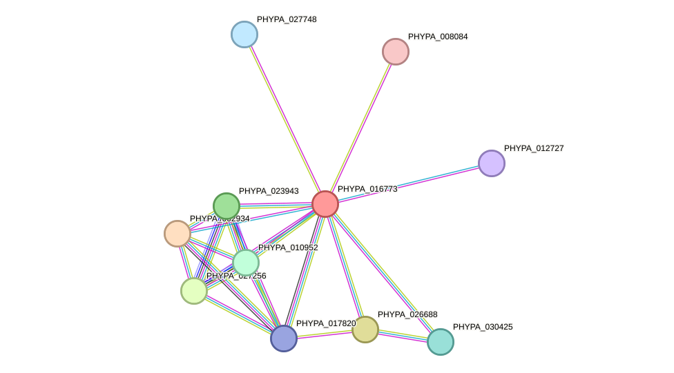 STRING protein interaction network