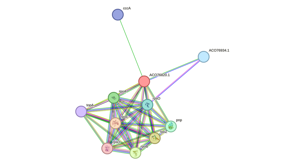 STRING protein interaction network