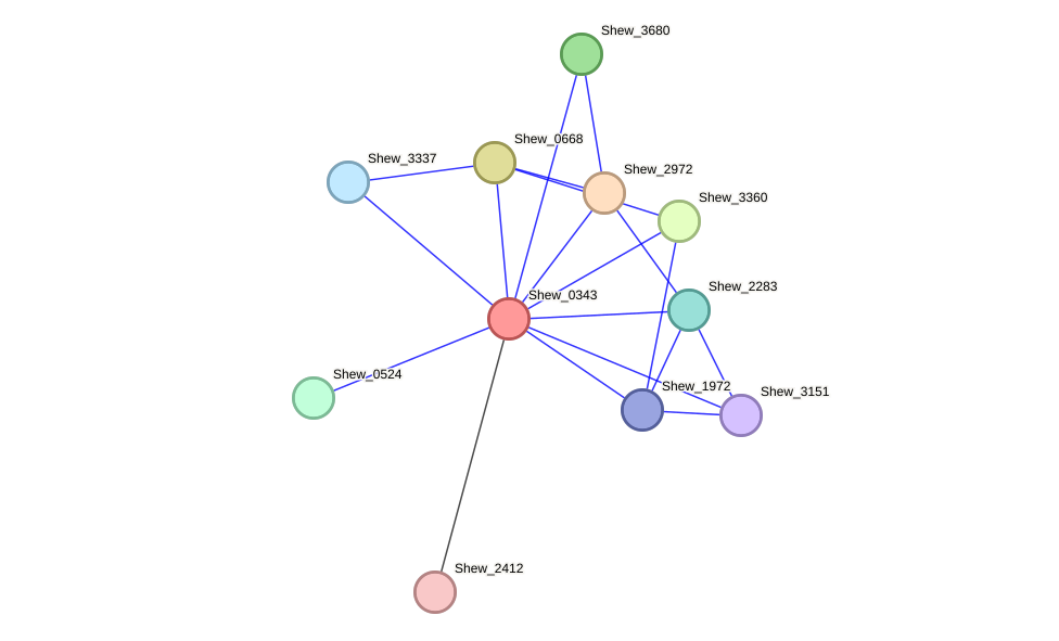 STRING protein interaction network