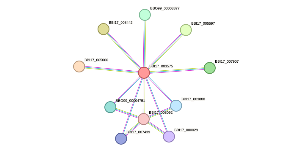 STRING protein interaction network