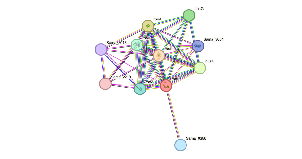 STRING protein interaction network