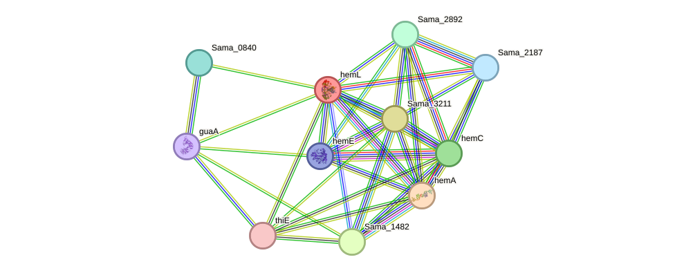 STRING protein interaction network