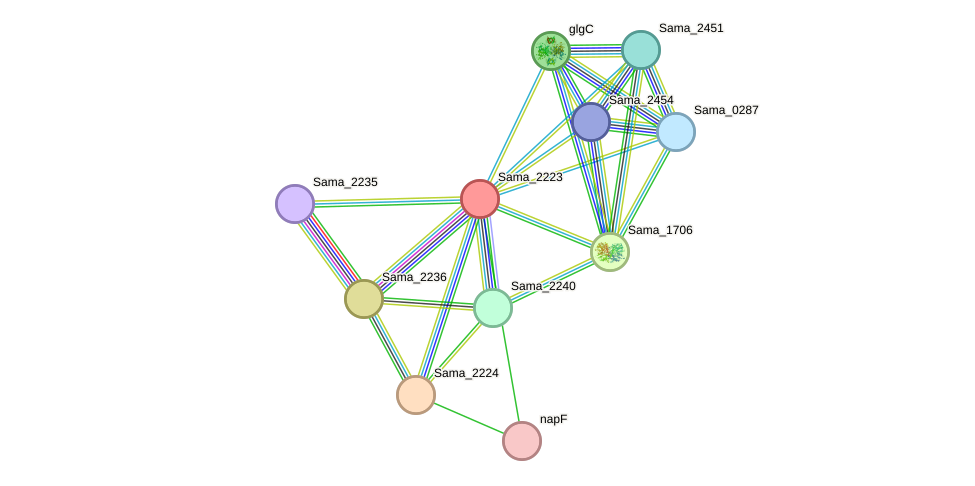 STRING protein interaction network