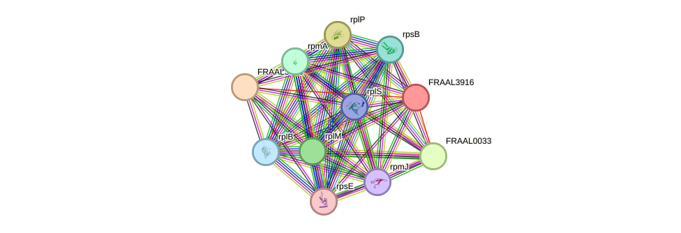 STRING protein interaction network