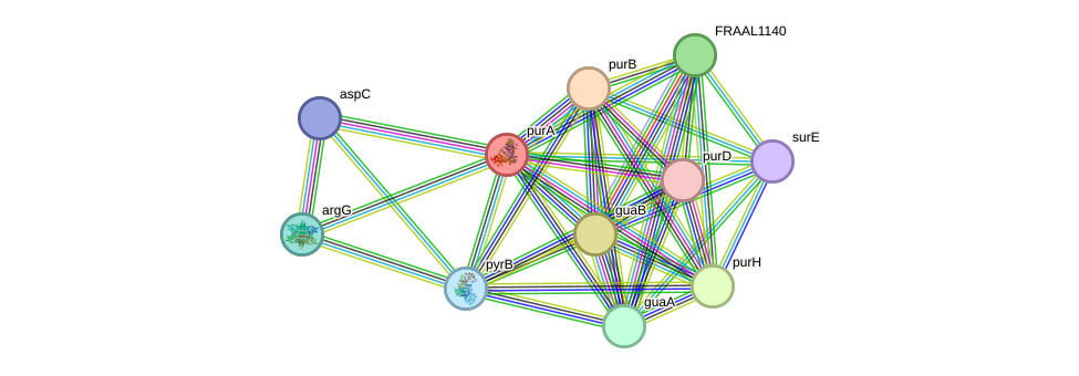 STRING protein interaction network