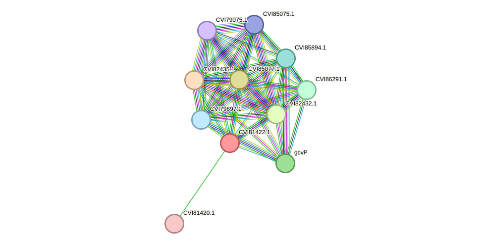 STRING protein interaction network