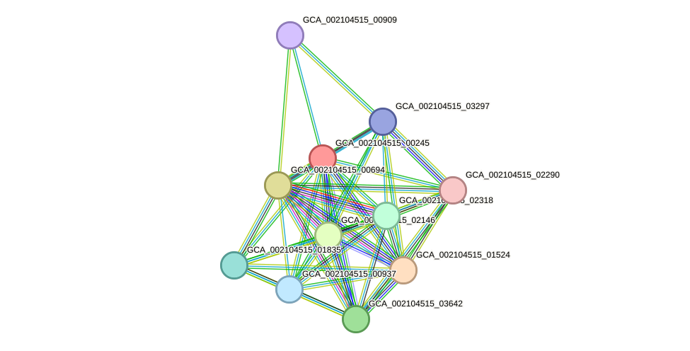 STRING protein interaction network