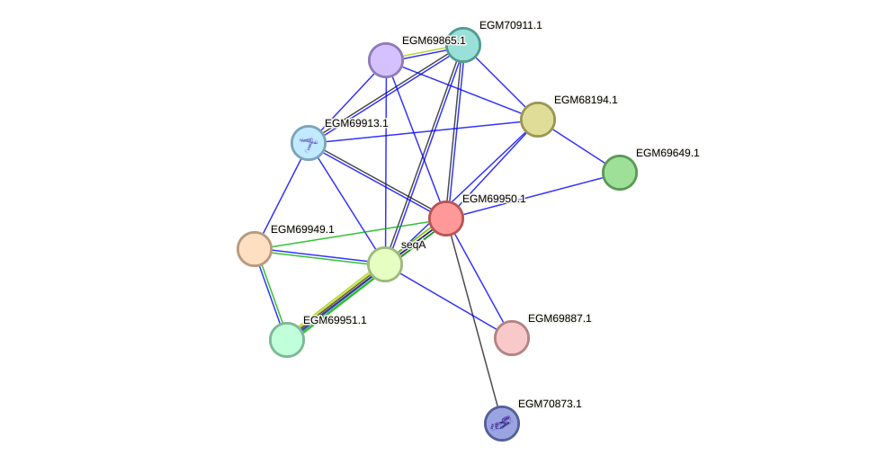 STRING protein interaction network
